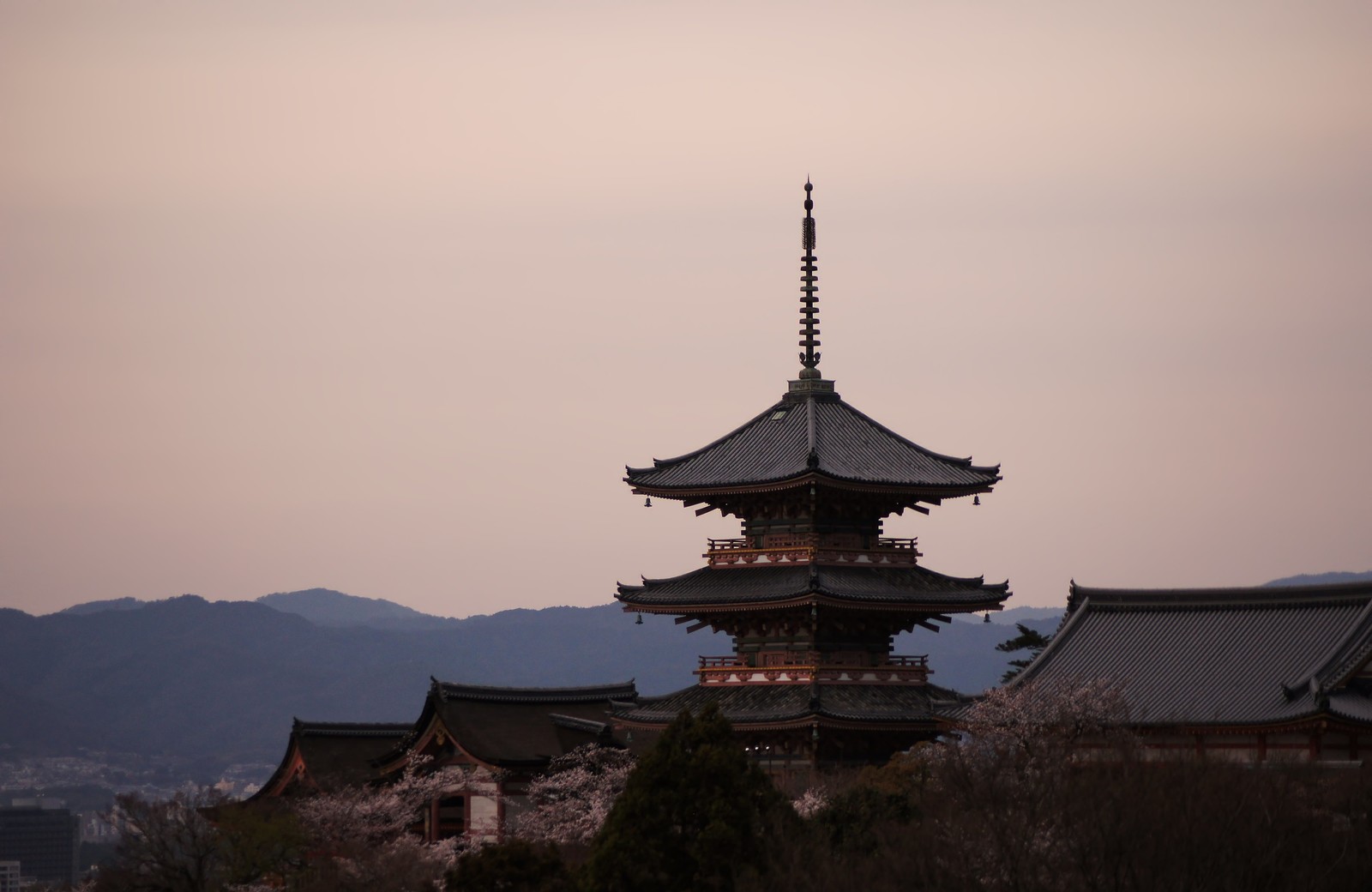 受験生が12月に取り組むべき日本史学習