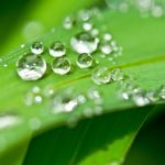 生物の学習で過去問を活用する際に意識しておきたい5つのポイント